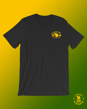 Load image into Gallery viewer, 2010 Class Reunion Unisex T-Shirt